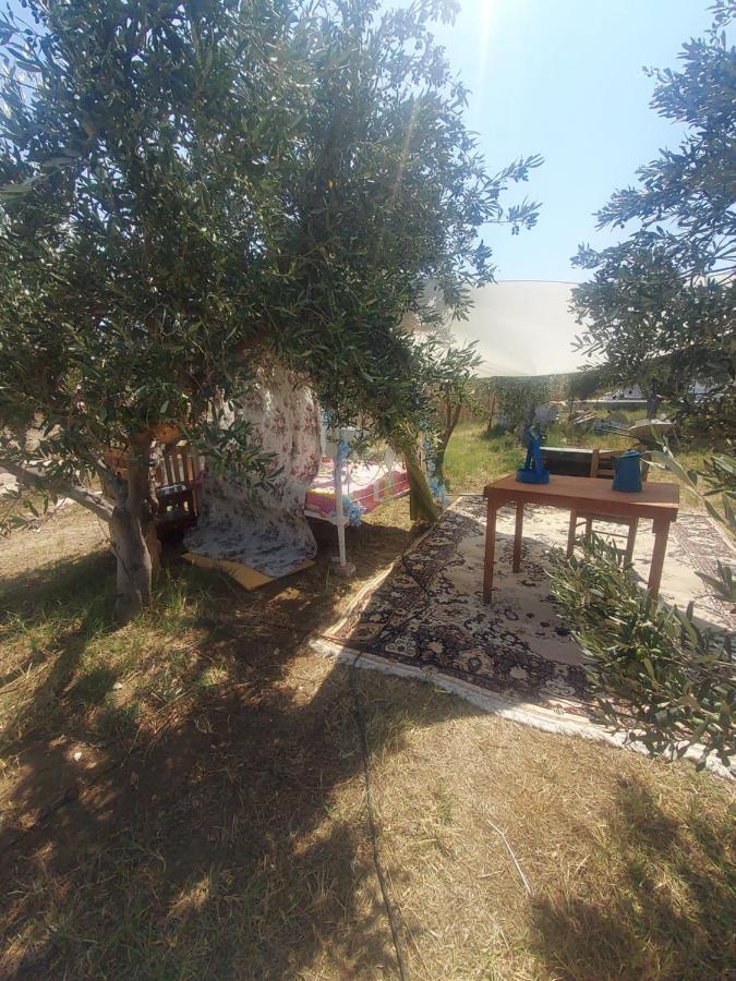 Suite Under The Stars Telendos Екстер'єр фото